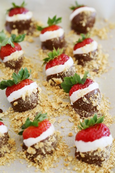 S’mores Dipped Strawberries – The Comfort of Cooking